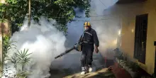 Nuovo caso di Dengue a Medicina, i sintomi a Ferragosto dopo un viaggio