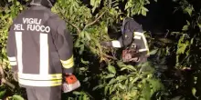 Forte vento nel Reggiano, 150 richieste di intervento al 115
