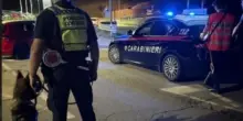 Abuso di alcol e droghe alla guida. Controlli a tappeto in Appennino