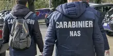 "Disabili mai maltrattati": assolti i 15 imputati