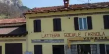 Manca il latte, chiude il caseificio: "La politica non si interessa a noi"