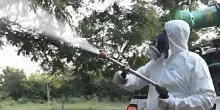 La causa di West Nile, Dengue, Malaria? A Bologna 27 casi in 8 mesi