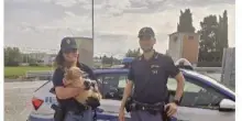 Cane dimenticato in autogrill: la polizia evita il peggio