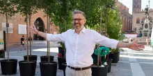 Bologna è ‘la Verde’. Primi alberi in centro, ma pioggia di critiche: "Ripenseremo la città"