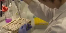 Finti vaccini Covid, il medico adesso deve risarcire lo Stato