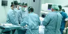 Rizzoli e stop interventi. La direzione dello Ior: "Solo pochi giorni in più. Il personale va in ferie"