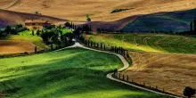Bper e le imprese: "Da sempre vicini al mondo agricolo. Promuoviamo ascolto"