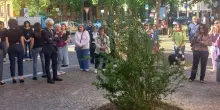 Un melograno per ricordare Sofia. Il sindaco: "Siamo vicini ai genitori"