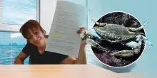 Granchio blu, arriva una barriera acustica per fermarlo: di cosa si tratta