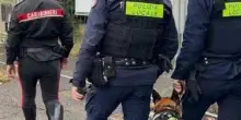 Abusivi nello stabilimento dismesso. Blitz di carabinieri e polizia locale