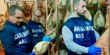 Budelli scaduti da più di 10 anni: ispezione choc in un salumificio di Cesena