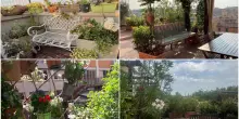 ‘Balconi fioriti’, la voglia di verde invade Bologna: votate il preferito