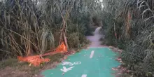 Pista ciclopedonale nel degrado. Sentiero tra buche ed erbacce