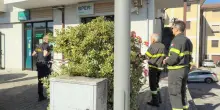Boato nella notte. Fanno esplodere bancomat. Ladri in fuga con 70mila euro