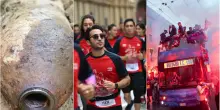 Strade chiuse a Bologna domenica 25 maggio 2025: tutte le info