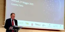 "Intelligenza artificiale risorsa del terziario"
