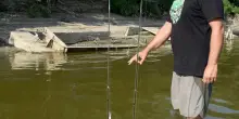 Viaggio sul Grande Fiume. Il Po dimezzato in pochi giorni: "Secche e isole, un pericolo. Viene alla luce la nave sepolta"