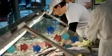 La vendita non si ferma : "Pesce fresco tutti i giorni sui banchi del Mercato"