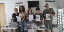 Pini di Lido Savio, nuovo esposto: "Violato il capitolato d’appalto"