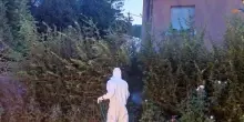 Sospetto caso di Dengue a Castel Guelfo, cosa succede: “Test negativi”