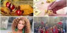 Feste Marche nel weekend: castagne, vino novello e cappelletti
