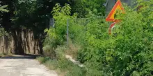 Il parco del Cardeto torna a vivere. Ma c’è una selva da bonificare