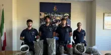 Blitz ai Giardini Speyer. La polizia arresta tre uomini con 7,5 chili di marijuana
