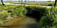 Sicurezza idraulica sul rio Granarolo. Quattro ponti da demolire e rifare