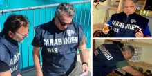 Confetture a rischio botulino tra ragni e scarafaggi, piscine sporche: blitz del Nas negli agriturismi in Emilia Romagna