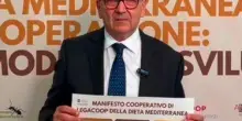 Grano tenero, la resa scende fino a -10%