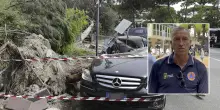 L’incubo di Milano Marittima, sfregiata la città giardino. Nuova strage di alberi