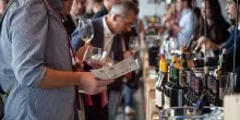 ’Vini ad Arte’: la kermesse romagnola. Oltre 60 cantine domani in vetrina