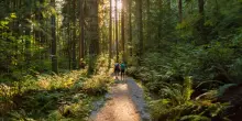 Percorsi trekking nelle Marche: dove andare per ammirare le meraviglie della natura