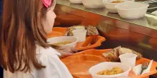 "Pasto in bianco? Solo con certificato"