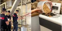 Pellet tossico: sequestrate 22 tonnellate di combustibile con formaldeide nel Pesarese