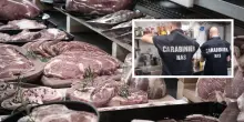 Blitz in macelleria, sequestrati 35 chili di carne e salumi: ecco perché