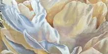Silla Guerrini: le sue peonie aprono nuovi passaggi
