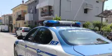 Meticcio aggredisce cagnolino e lo uccide