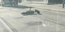 Tram, incidente in monopattino tra i binari. Via Ugo Bassi era appena stata riaperta