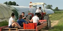 Una cordata di amici nell’azienda di Ansaloni
