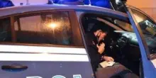 Aggredito, si fa giustizia da sé. Picchia pure un cane: denunciato