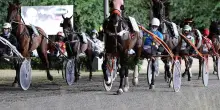 Stagione corse al trotto all'Ippodromo del Savio: novità e grandi premi in arrivo
