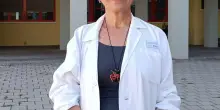 Chikungunya, nuove disinfestazioni. Cani e gatti vanno tenuti al riparo
