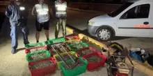 Maxi sequestro di vongole: pescatori abusivi presi mentre scappavano a nuoto