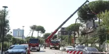 I pini, ipotesi sostituzione: "Serve una riflessione. Non va snaturata la località"
