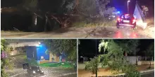 Nubifragio lampo su Pesaro: blackout, allagamenti e alberi caduti