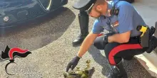 Convivenza finisce in frantumi: “Vuole castrarmi chimicamente”. E lo aggredisce a bottigliate