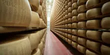 Dazi al 45% sul Parmigiano Reggiano. “Queste manovre Usa sono un danno enorme”