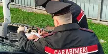 Due denunce e segnalati vari consumatori