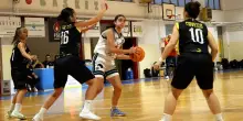 Debutto amaro in casa. La Nuova Virtus si arrende